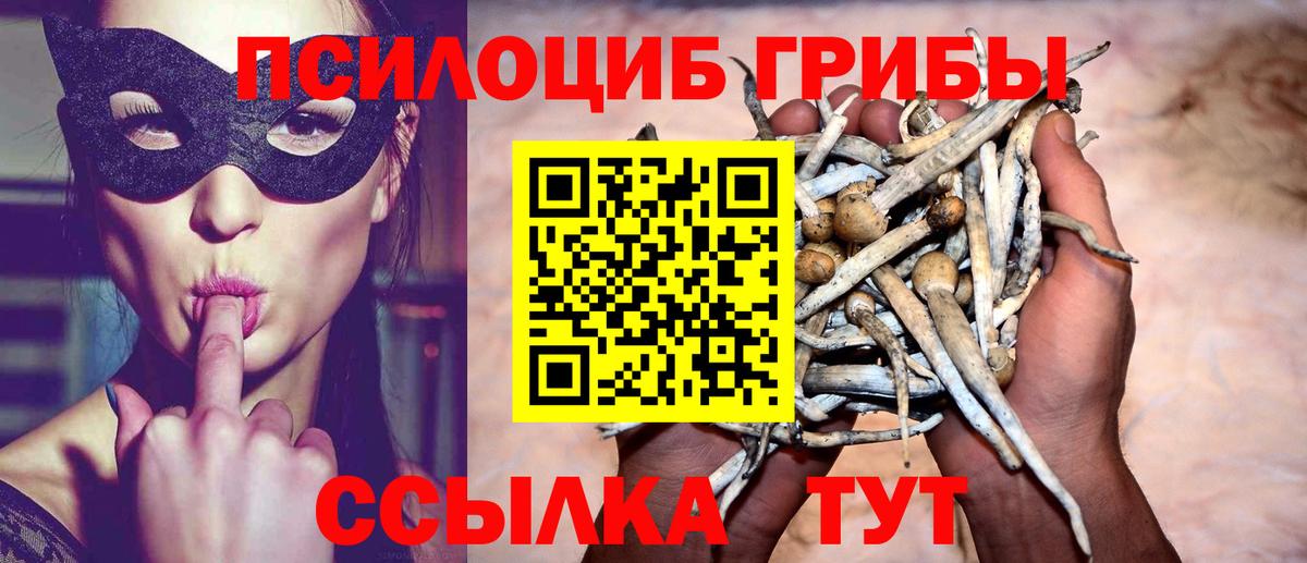 Псилоцибиновые грибы прущие грибы  Псилоцибиновые грибы прущие грибы  Вход с VPN  Мичуринск 