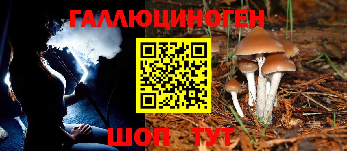 Галлюциногенные грибы GOLDEN TEACHER Мичуринск